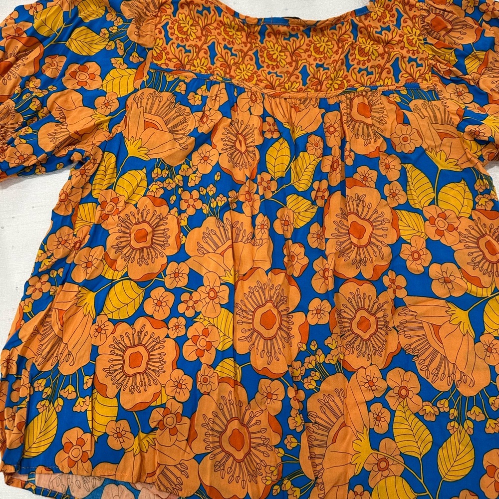 Beautiful bloused Orange and blue flowers in great condition.